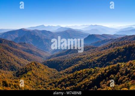 Paesaggio panoramico con alberi in foreste di montagna in autunno. Foto Stock