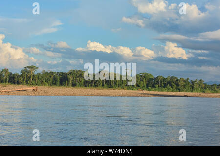 Ancora la vita sul fiume Tambopata, Tambopata National Reserve, Amazzonia peruviana Foto Stock