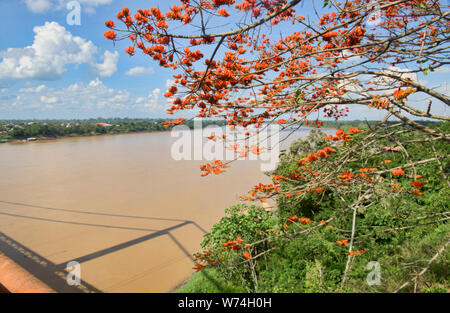 Vista del fiume di Madre de Dios, Puerto Maldonado, Amazzonia peruviana Foto Stock