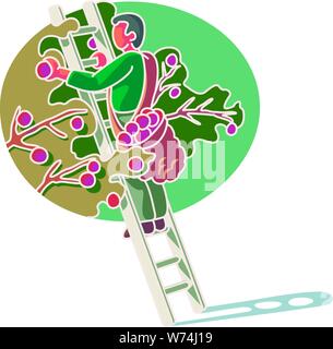 Un uomo su una scala la raccolta di mele e di metterli in un sacco al suo fianco Illustrazione Vettoriale