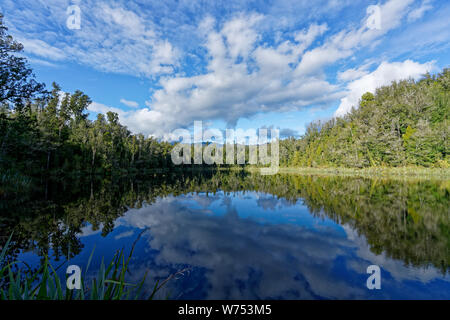 Il lago di Hanlon, Kahurangi National Park in Westport Karamea Road, West Coast, Nuova Zelanda. Foto Stock