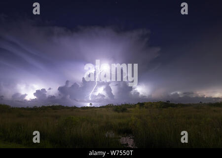 A lightning bolt strikes the ground during an electrical storm in Everglades National Park. Foto Stock