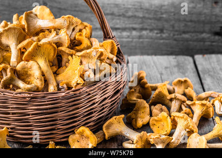 Finferli freschi di funghi in un cestino sul tavolo di legno Foto Stock