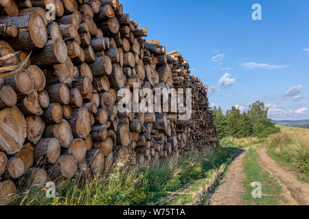 Registri sovrapposti di raccolte di legname di legno accanto alla foresta. Repubblica ceca il bostrico calamità di attacco della deforestazione, paesaggio europeo Foto Stock