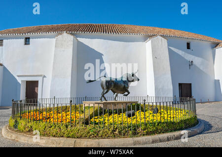 Vista su Plaza de Toros de Ronda è una delle più antiche arene, durante le corride in Spagna. Ronda, provincia di Malaga, Andalusia, Spagna Foto Stock