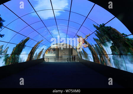 Vista del più grande del mondo OLED tunnel al Cantone di Torre nella città di Guangzhou, Cina del sud della provincia di Guangdong, 30 novembre 2017. Il più grande del mondo O Foto Stock