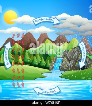 Acqua di processo di ciclo sulla terra - illustrazione scientifica Illustrazione Vettoriale