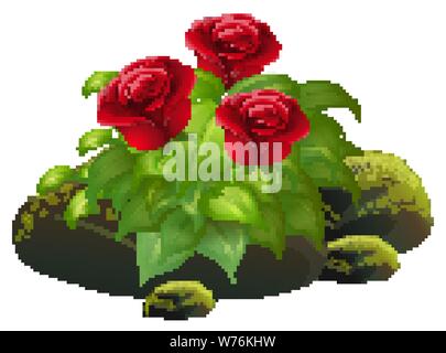 Rose rosse e le rocce su sfondo bianco illustrazione Illustrazione Vettoriale