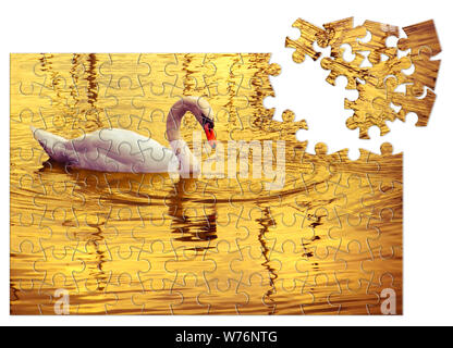 Prendersi cura della tua bellezza - White Swan in sfondo dorato - Concetto di immagine in puzzle forma Foto Stock