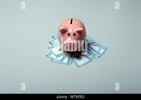Casella Piggy bank con dollari isolare su sfondo grigio. Foto Stock