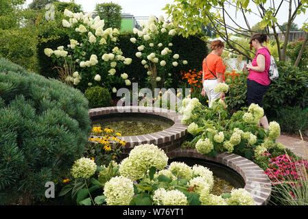 Frankenberg, Germania. 05 Ago, 2019. Nel giardino a tema "implicano una cosa fine e tonda' visitatori stand all'ottavo Stato Sassone Garden Show in Frankenberg. Lo spettacolo in Sassonia centrale aperto dal 20.04.-06.10.2019 sotto il motto "Natürlich mittendrin'. Oggi lo spettacolo attende la 222 222th visitatore. Credito: Pietro Endig/dpa-Zentralbild/ZB/dpa/Alamy Live News Foto Stock