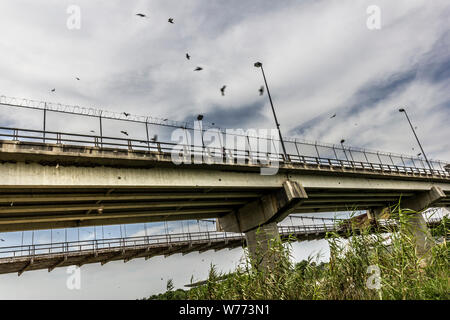 Gli uccelli il circle Roma-Ciudad Miguel Aleman International ponte che attraversa il Rio Grande e il Messico-frontiera degli Stati Uniti, è visto da Roma, Texas, Stati Uniti d'America Foto Stock