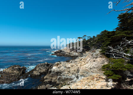 17-Mile Drive, strada panoramica attraverso Monterey, California descrizione fisica: 1 Foto : Digital, file TIFF a colori. Note: titolo, data e parole chiave fornite dal fotografo.; Foto Stock