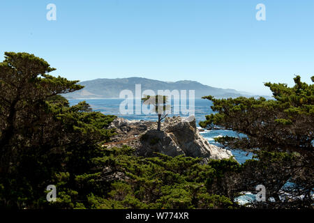 17-Mile Drive, strada panoramica attraverso Monterey, California descrizione fisica: 1 Foto : Digital, file TIFF a colori. Note: titolo, data e parole chiave fornite dal fotografo.; Foto Stock