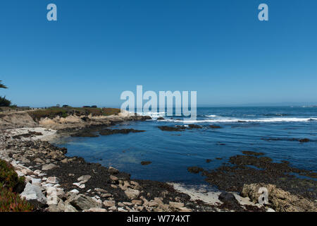 17-Mile Drive, strada panoramica attraverso Monterey, California descrizione fisica: 1 Foto : Digital, file TIFF a colori. Note: titolo, data e parole chiave fornite dal fotografo.; Foto Stock