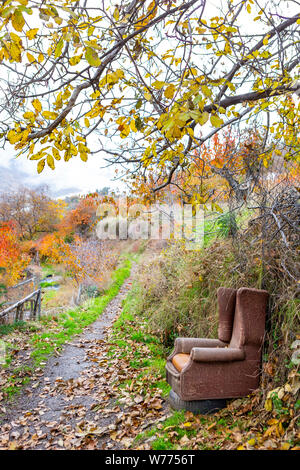 Volare con punta di vecchio e trasandato poltrona in natura in autunno la luce Foto Stock