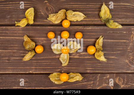 Gruppo di lotto intero di due pezzi di arancia fresca physalis disposti simmetricamente flatlay su legno marrone Foto Stock