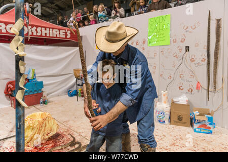 Un esperto snake-Skinner dimostra il suo mestiere a un giovane visitatore presso il più grande del mondo Rattlesnake Roundup in Sweetwater, Texas descrizione fisica: 1 Foto : Digital, file TIFF a colori. Note: dal 1958, l'evento, promosso e gestito dalla Sweetwater Jaycees, si svolge ogni anno nel mese di marzo a Nolan County Coliseum. Il Round-Up era iniziato come un modo per controllare la popolazione di serpenti nel loro brushy area del Texas. Secondo la Jaycees, la grande popolazione di rattlesnakes era danneggiare gli agricoltori locali e degli allevatori che stavano perdendo il loro bestiame per questi predatori naturali. Oggi Foto Stock