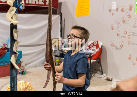 Un esperto snake-Skinner dimostra il suo mestiere a un giovane visitatore presso il più grande del mondo Rattlesnake Roundup in Sweetwater, Texas descrizione fisica: 1 Foto : Digital, file TIFF a colori. Note: dal 1958, l'evento, promosso e gestito dalla Sweetwater Jaycees, si svolge ogni anno nel mese di marzo a Nolan County Coliseum. Il Round-Up era iniziato come un modo per controllare la popolazione di serpenti nel loro brushy area del Texas. Secondo la Jaycees, la grande popolazione di rattlesnakes era danneggiare gli agricoltori locali e degli allevatori che stavano perdendo il loro bestiame per questi predatori naturali. Oggi Foto Stock