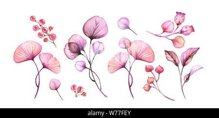 Acquerello trasparente set fiori isolati su bianco collezione floreale di bacche e foglie, rami bundle in rosa pastello viola viola di botanica Foto Stock