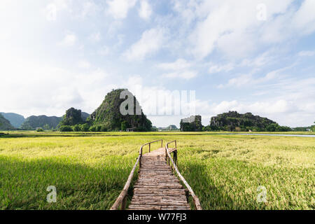 Ponte di legno andando attraverso il campo di riso verso le montagne di Tam Coc parco nazionale in Ninh Binh, Vietnam Foto Stock