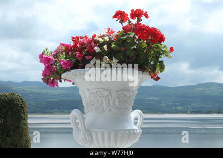 Immagine di un trofeo bianco vaso riempito con rosso, rosa, bianco e fiori verdi con le montagne e le nuvole in lontananza, in una giornata di sole in Portmeirion Foto Stock