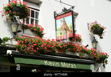 Il Nag testa del pub di Londra. Foto Stock