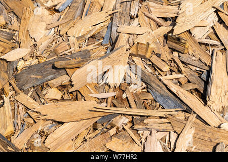 Coarse trucioli di legno da intagliare un tronco di albero coprire completamente il terreno. Foto Stock