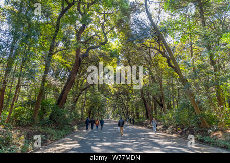 Kita-sando, Nord approccio al Tempio di Meiji (Meiji-jingu), Tokyo, Giappone Foto Stock