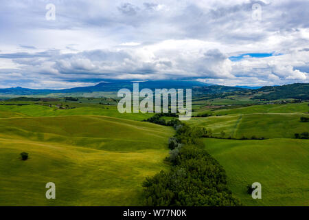 Dolci colline della Toscana, Italia, su una soleggiata giornata d'estate. I campi e gli alberi coprono il paesaggio lussureggiante. Foto Stock