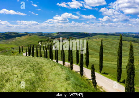 Dolci colline della Toscana, Italia, su una soleggiata giornata d'estate. Cipressi la linea di una strada sterrata che conduce verso una piccola collezione di case nel profondo il conteggio Foto Stock