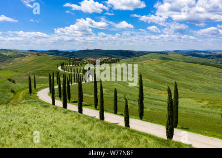 Dolci colline della Toscana, Italia, su una soleggiata giornata d'estate. Cipressi la linea di una strada sterrata che conduce verso una piccola collezione di case nel profondo il conteggio Foto Stock