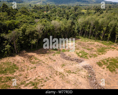 Antenna fuco vista della deforestazione in una foresta pluviale tropicale per fare la strada per l'olio di palma e piantagioni di gomma Foto Stock