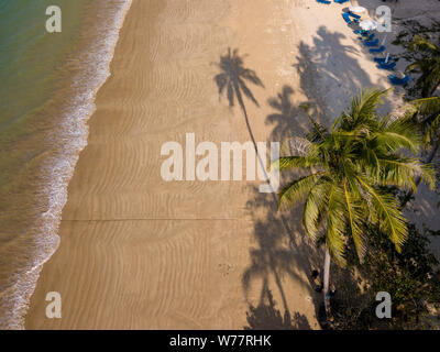 Antenna fuco vista di una lunga ombra di un albero di palma colato su un bellissimo, vuoto spiaggia tropicale Foto Stock