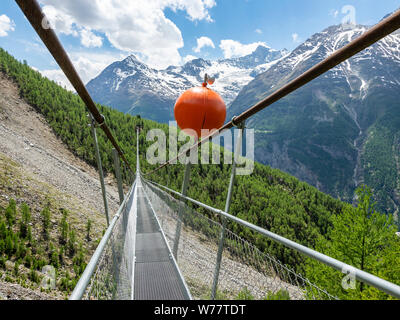 Charles Kuonen ponte di sospensione, i mondi più lungo ponte di sospensione (494 m) per i pedoni a partire dal mese di luglio 2019, parte del sentiero escursionistico Europaweg, materia Foto Stock