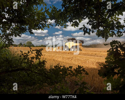 Macchina mietitrebbiatrice funziona in un'Oxfordshire campo di grano Foto Stock