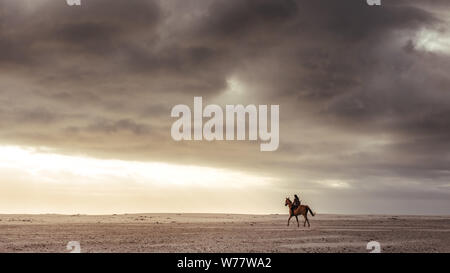 Equitazione donna con il suo stallone sulla spiaggia di sera. Femmina cavaliere a cavallo sulla riva del mare al tramonto. Foto Stock