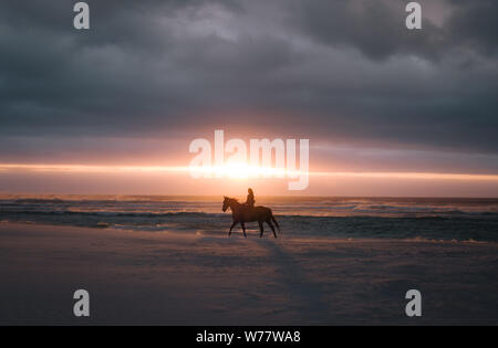 Silhouette di un cavaliere su un cavallo al tramonto sulla spiaggia. La donna a cavallo sulla riva del mare al tramonto. Foto Stock