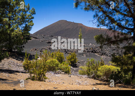 Montana Negra, montagna nera, pietra vulcanica a Chinyero, Tenerife, Isole Canarie, Spagna Foto Stock