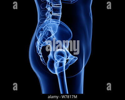 3D Rendering accurato dal punto di vista medico illustrazione del Foto Stock