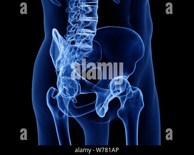 3D Rendering accurato dal punto di vista medico illustrazione del Foto Stock