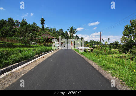 La strada sulle montagne di Bali, Indonesia Foto Stock