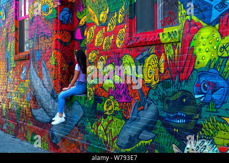 Arte di strada in Graffiti vicolo, nel quartiere alla moda di Toronto, Ontario Canada Foto Stock