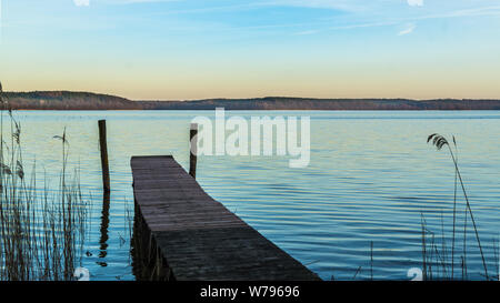 Pontile a lago Plauer See idillico paesaggio Foto Stock