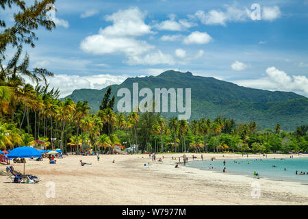 El Yunque picco (3,496 ft.) e Luquillo Beach, Puerto Rico Foto Stock