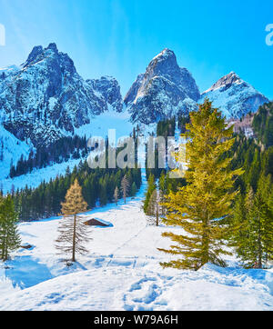 La snowy valey Gosausee intorno al lago con una vista su lussureggianti alberi di conifere e Donnerkogl montagne di Dachstein West Alpi, Gosau, Austria Foto Stock