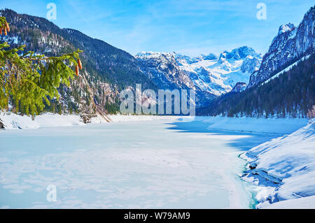 L'Abete il ramo con i coni di fronte all'highland lago Gosausee, coperto di neve e ghiaccio, circondato da Dachstein West Alpi, Gosau, Salzkammer Foto Stock