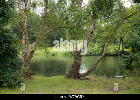 Scena di fiume a Clumber Park, Nottinghamshire, Regno Unito Foto Stock