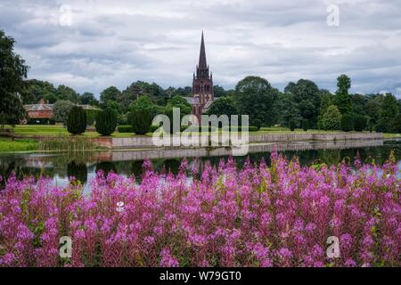 Rosebay Willowherb (Chamaenerion angustifolium) attraverso il lago dalla chiesa di Santa Maria Vergine, Clumber Park, Nottinghamshire, Regno Unito Foto Stock