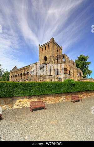 Le rovine di Jedburgh Abbey, Jedburgh Scottish Borders, Scotland, Regno Unito. Foto Stock